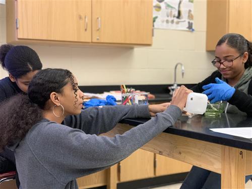 Learning in Biology 